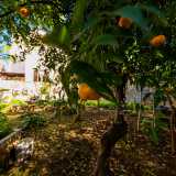 ...mandarini e limoni...